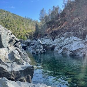 Meet your Posher, Pulga